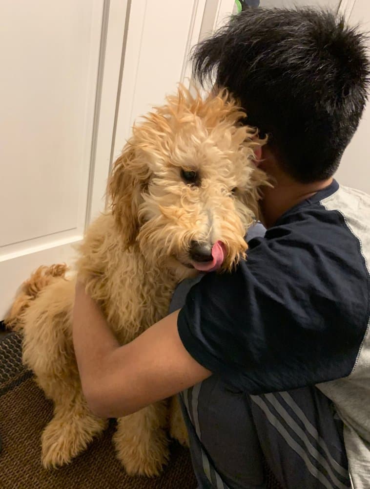 The one that brings the biggest joy.